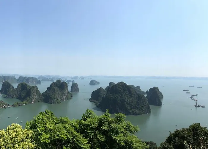 Viet Nhat - Bai Chay